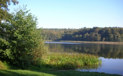 DSCN4104
