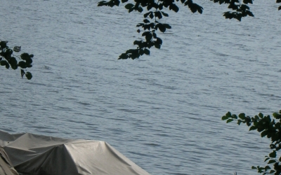 DSCN3389
