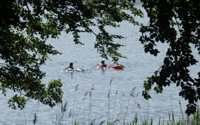 PICT0035